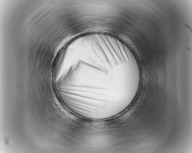 X0000101460989200808041038