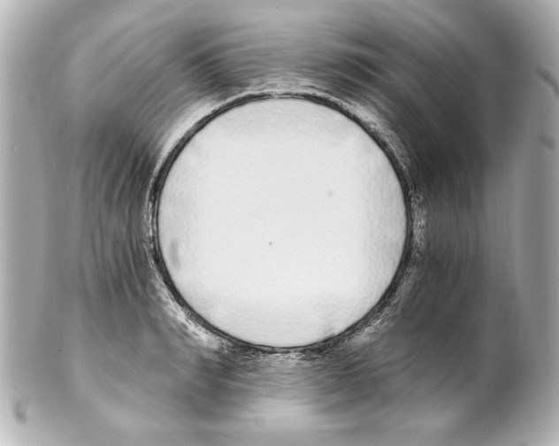 X0000101460990200808041038