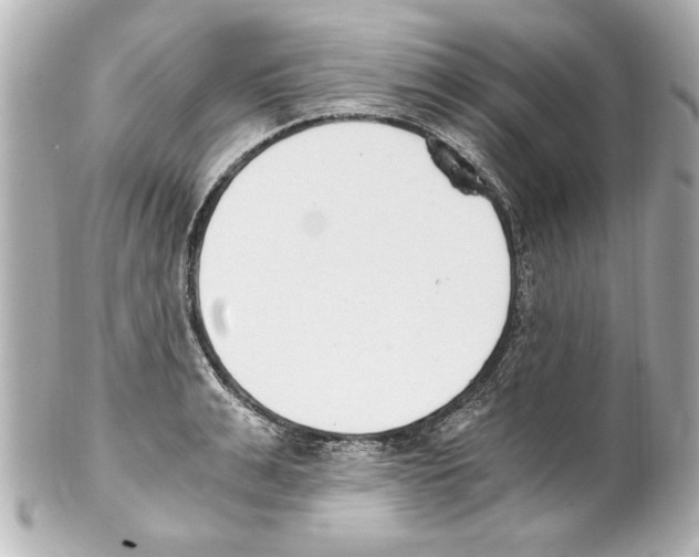X0000101460991200808041038