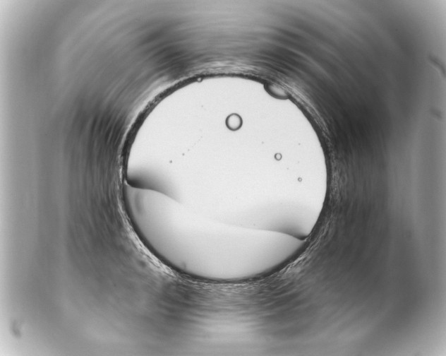 X0000101460992200808041038