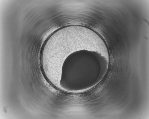 X0000101460995200808041038