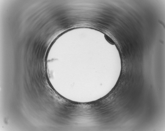 X0000101460996200808041038