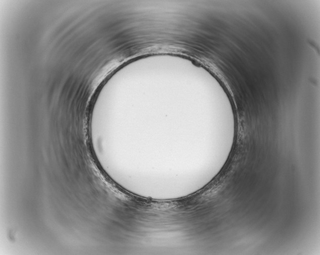X0000101460997200808041038