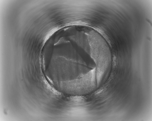X0000101460998200808041038