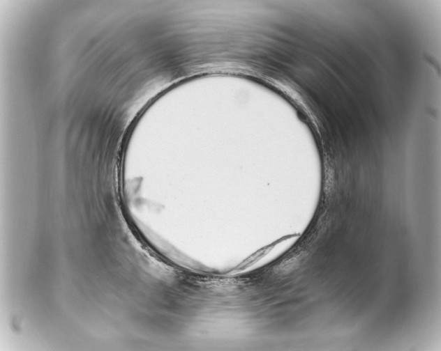 X0000101460999200808041037