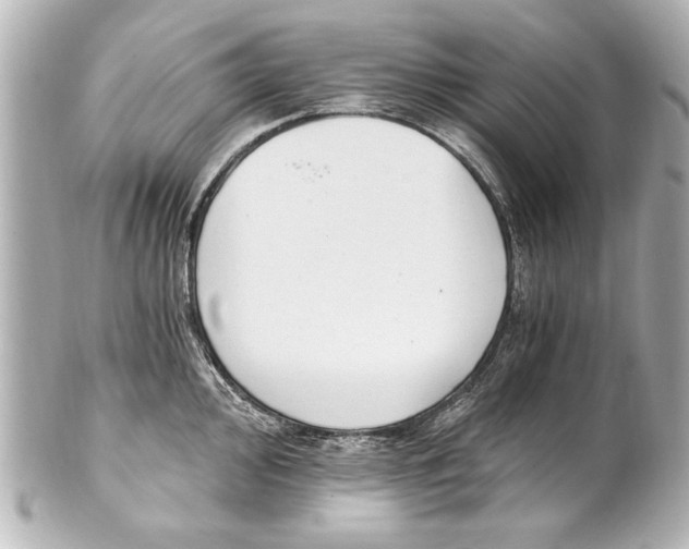 X0000101461000200808041037