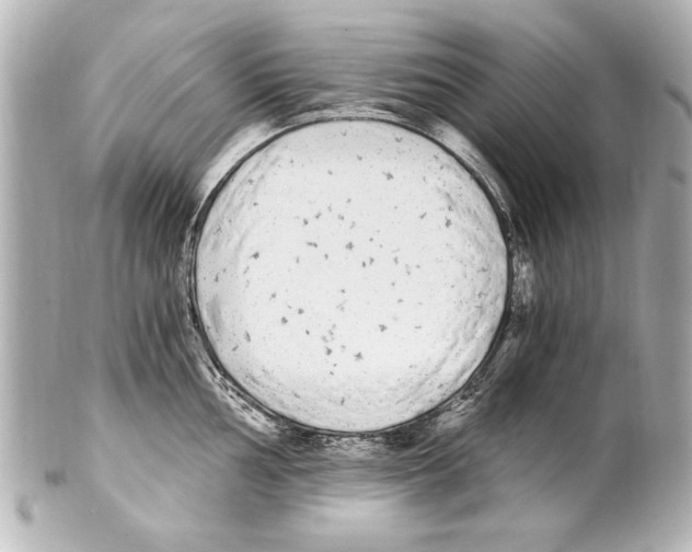 X0000101461002200808041037