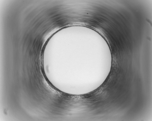 X0000101461003200808041037
