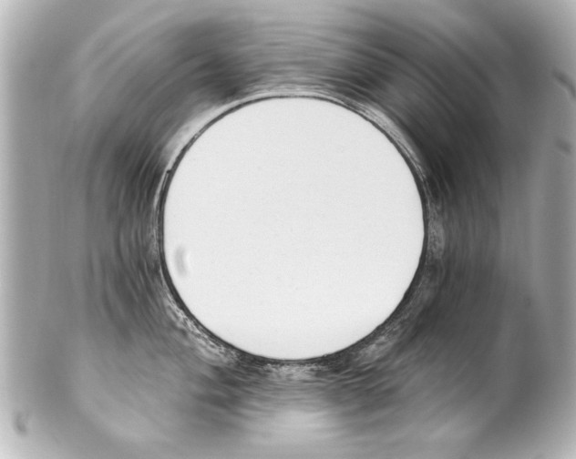 X0000101461004200808041037