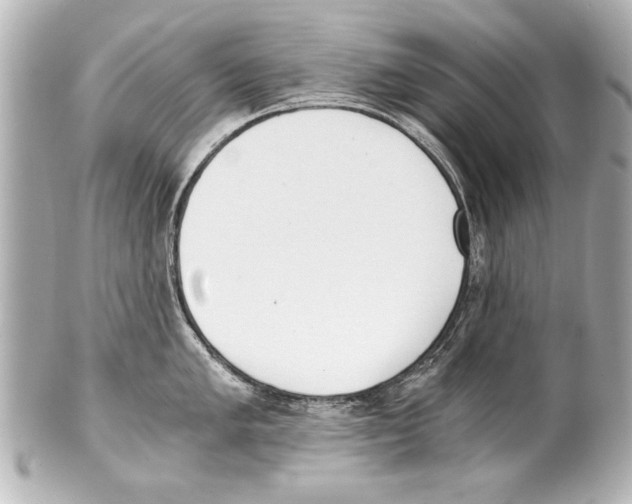 X0000101461005200808041037