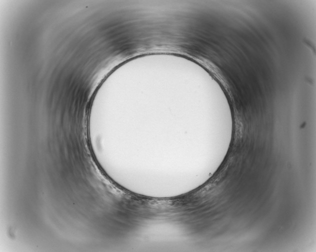 X0000101461006200808041037