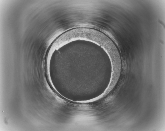 X0000101461007200808041037