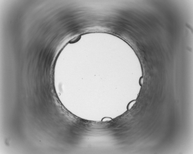 X0000101461008200808041037