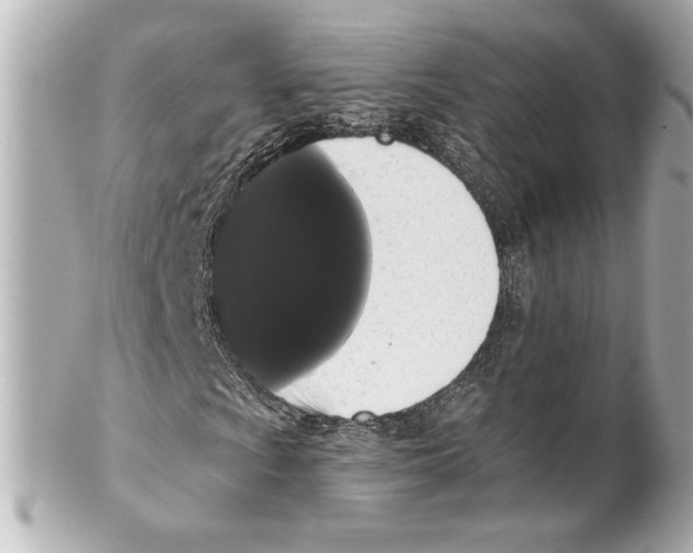 X0000101461009200808041037
