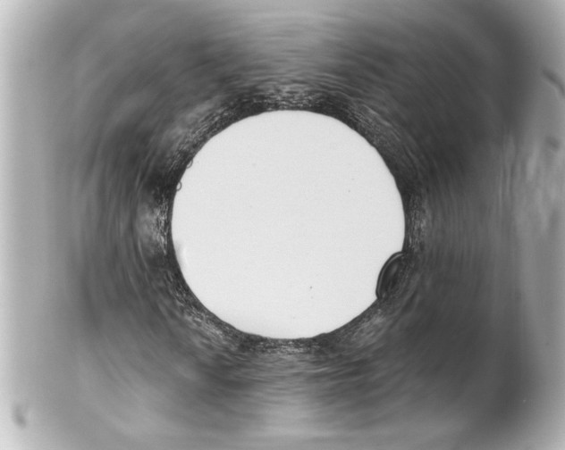 X0000101461010200808041037