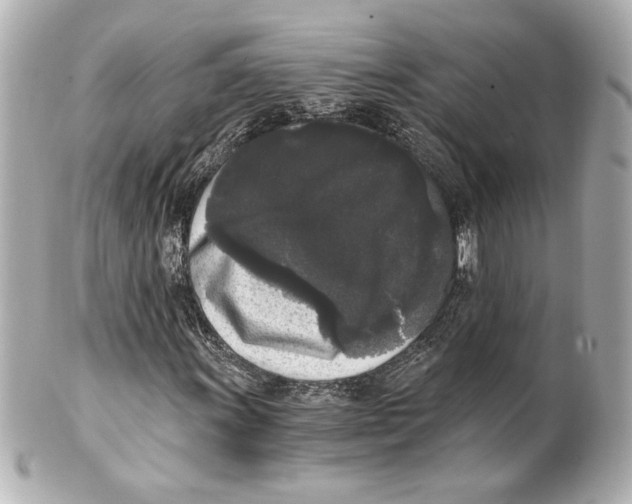 X0000101461011200808041037