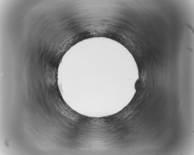 X0000101461012200808041037