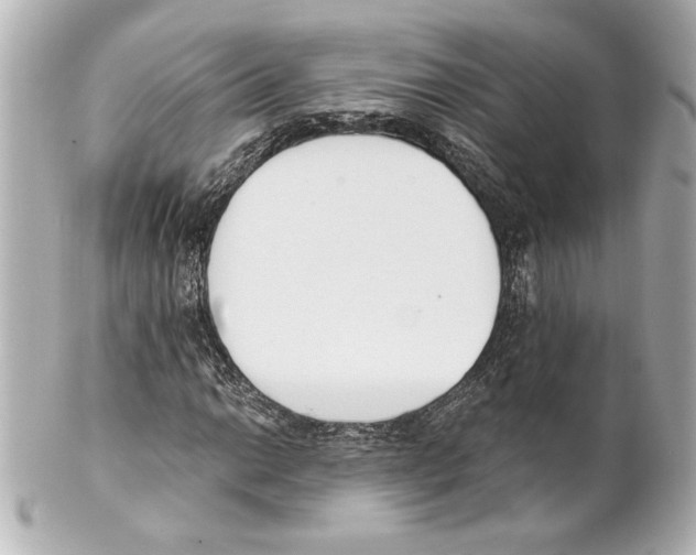 X0000101461014200808041037