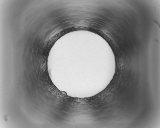 X0000101461015200808041037