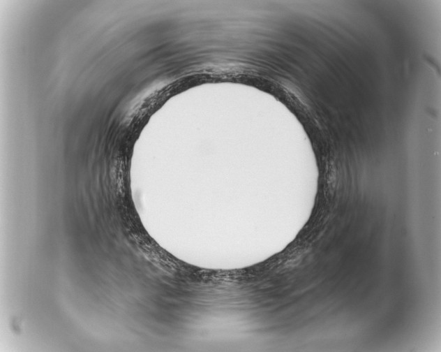 X0000101461016200808041037