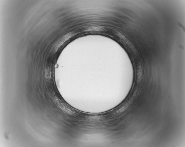X0000101461017200808041037