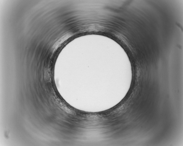 X0000101461018200808041037