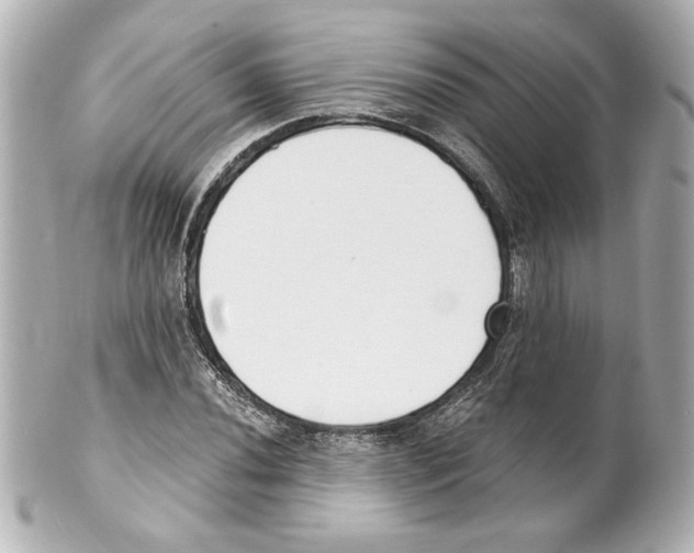X0000101461020200808041037
