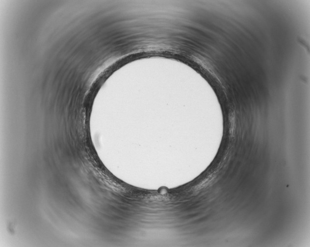 X0000101461021200808041037