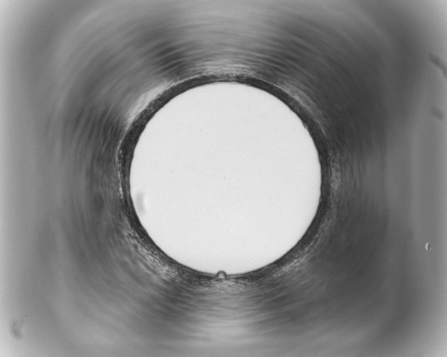 X0000101461022200808041037