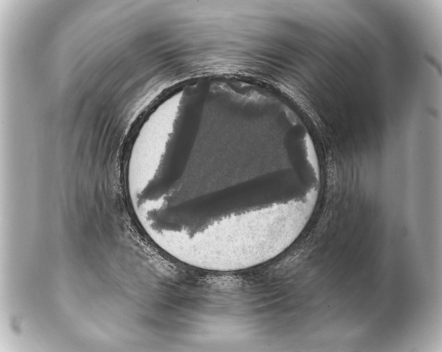 X0000101461023200808041037