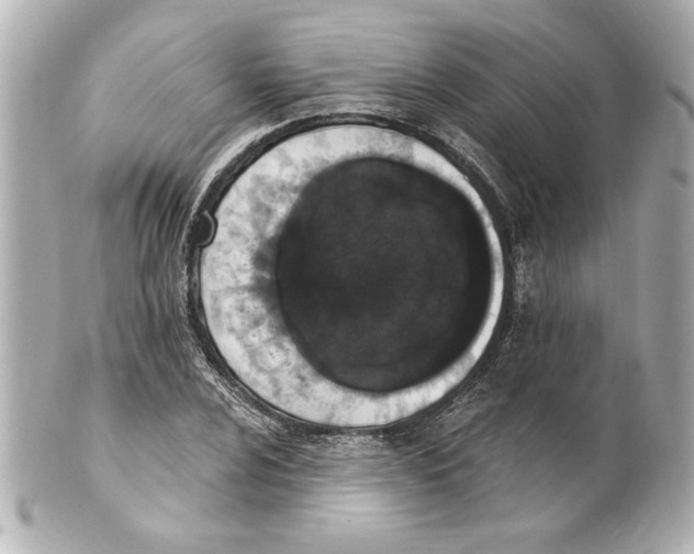 X0000101461024200808041037
