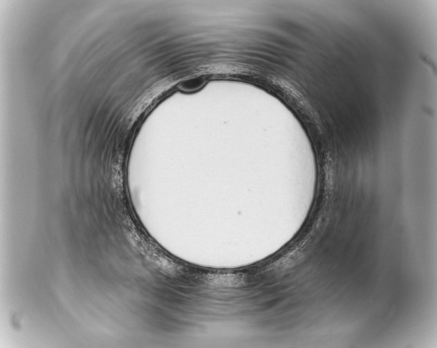 X0000101461025200808041037