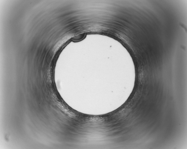 X0000101461026200808041037