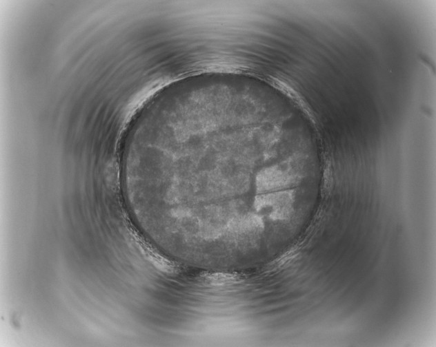 X0000101461027200808041037