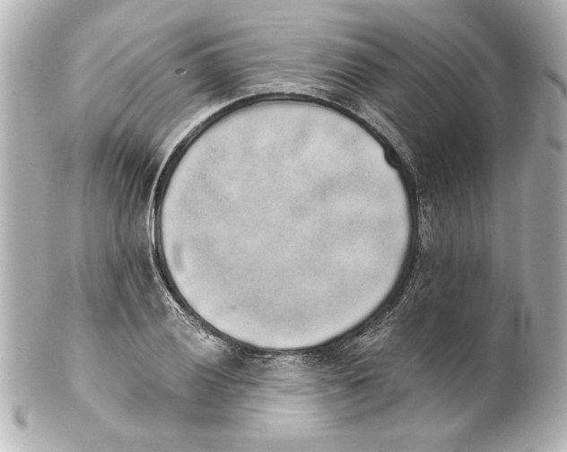 X0000101461028200808041037