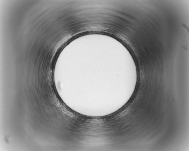 X0000101461029200808041037