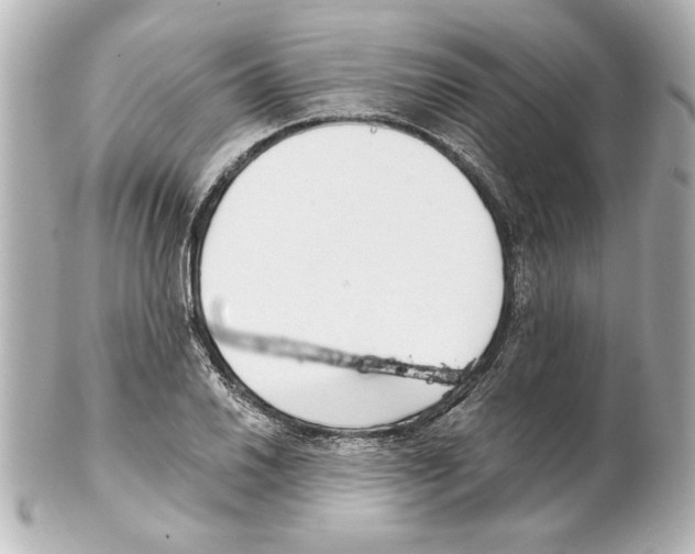 X0000101461030200808041037