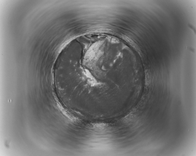 X0000101461031200808041037