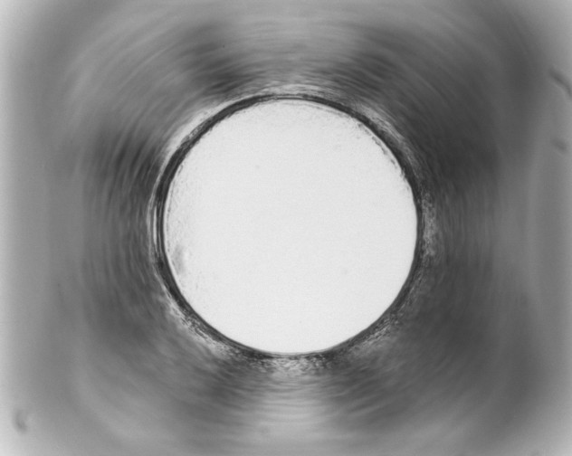 X0000101461032200808041037