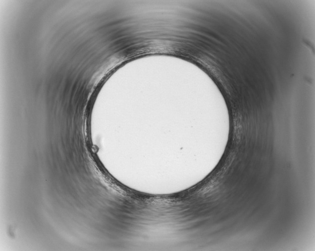 X0000101461034200808041037