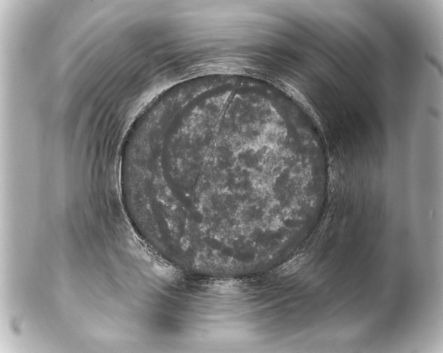X0000101461035200808041037
