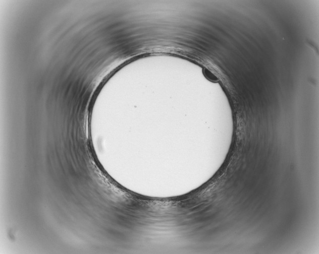 X0000101461036200808041037