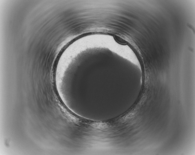 X0000101461037200808041037