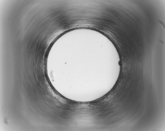 X0000101461038200808041037