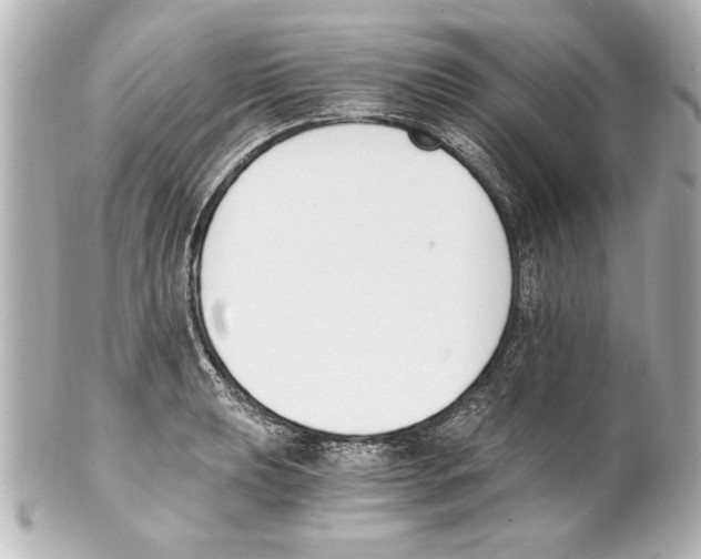 X0000101461039200808041037