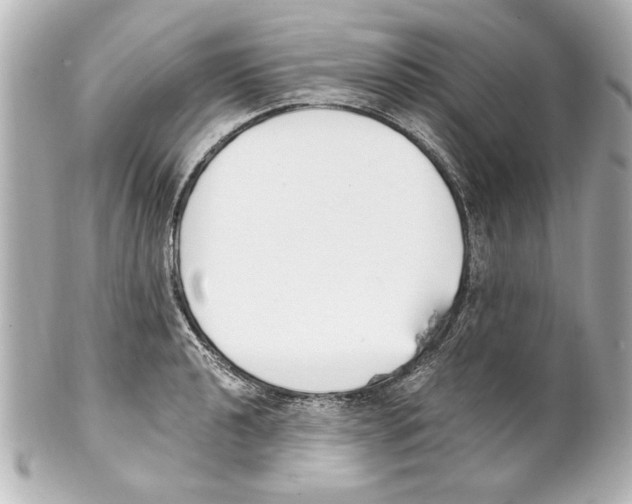 X0000101461040200808041037