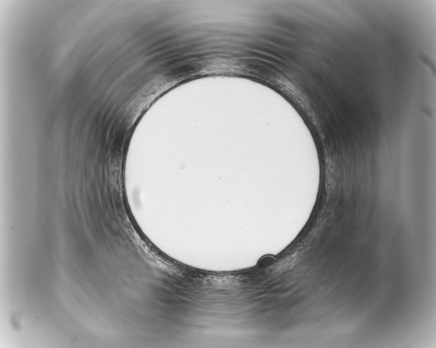 X0000101461041200808041037