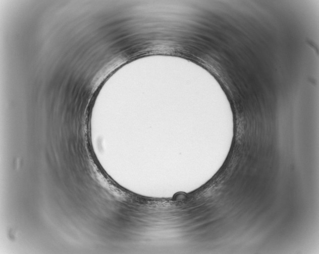 X0000101461042200808041037