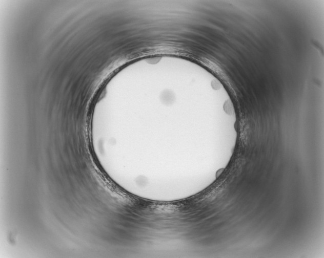 X0000101461043200808041037