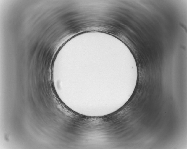 X0000101461044200808041037